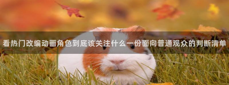 2026汗汗漫画热门：看热门改编动画角色到底该关注什么一份面向普通观众的判断清单配图